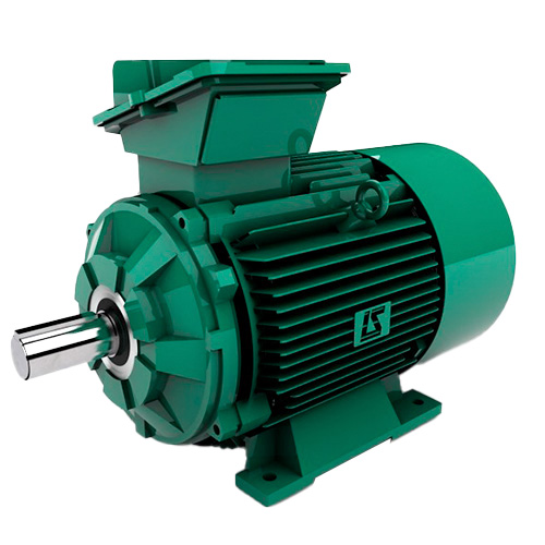 LEROY_SOMER Leroy Somer FLSES 160M6 — Electric Motors