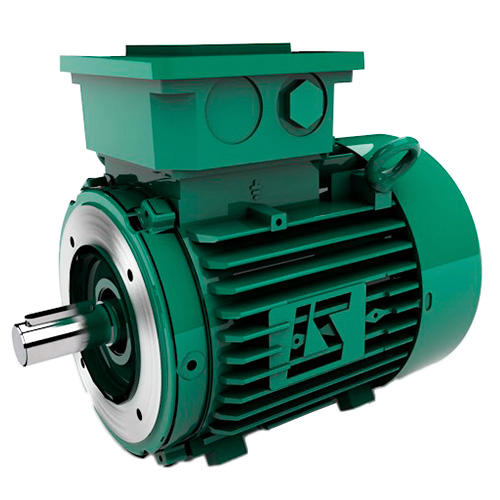 LEROY_SOMER Leroy Somer FLSES 132M2 — Electric Motors