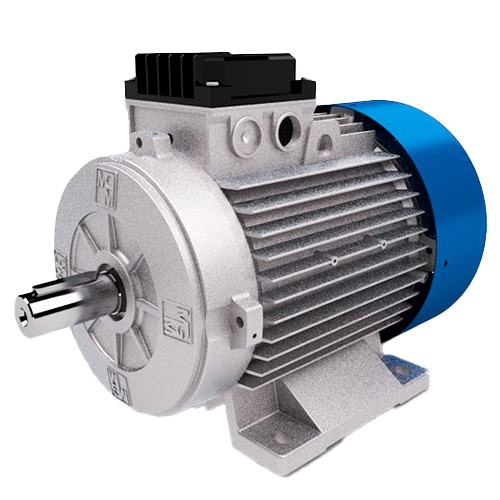 M.G.M. motori elettrici S.p.A M.G.M. motori elettrici S.p.A SMX 100 LA6